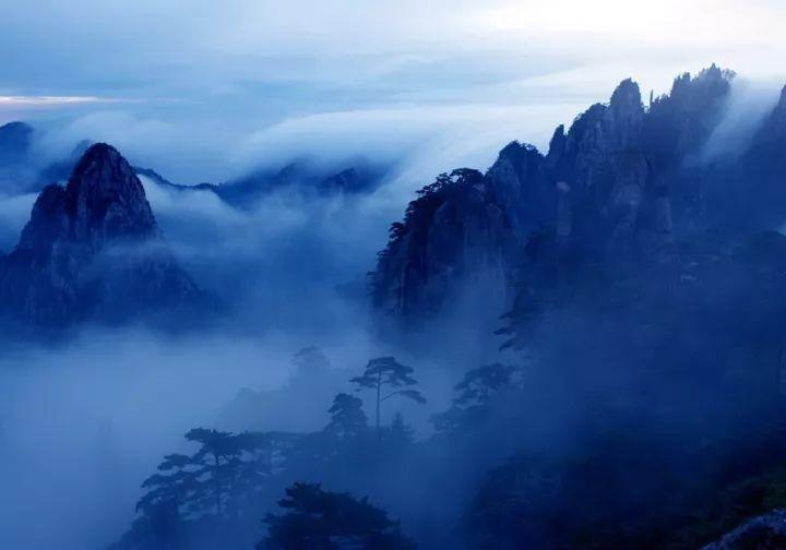 春雨直播app